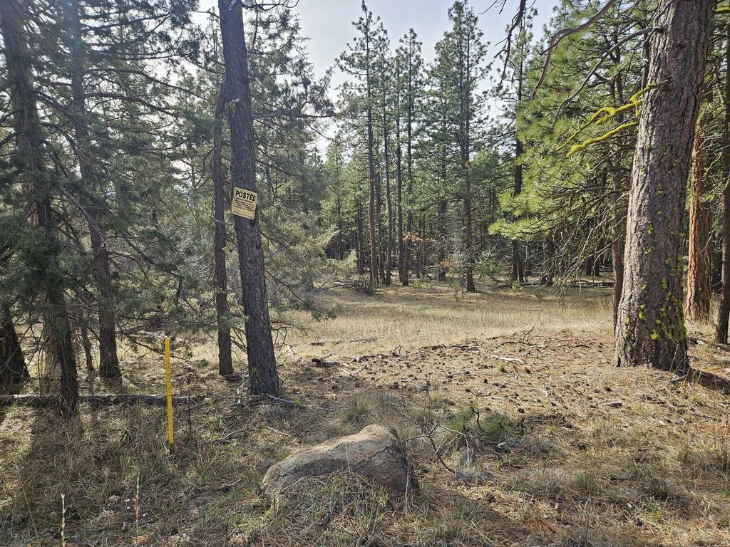 0 Seal Lane 8, Bonanza