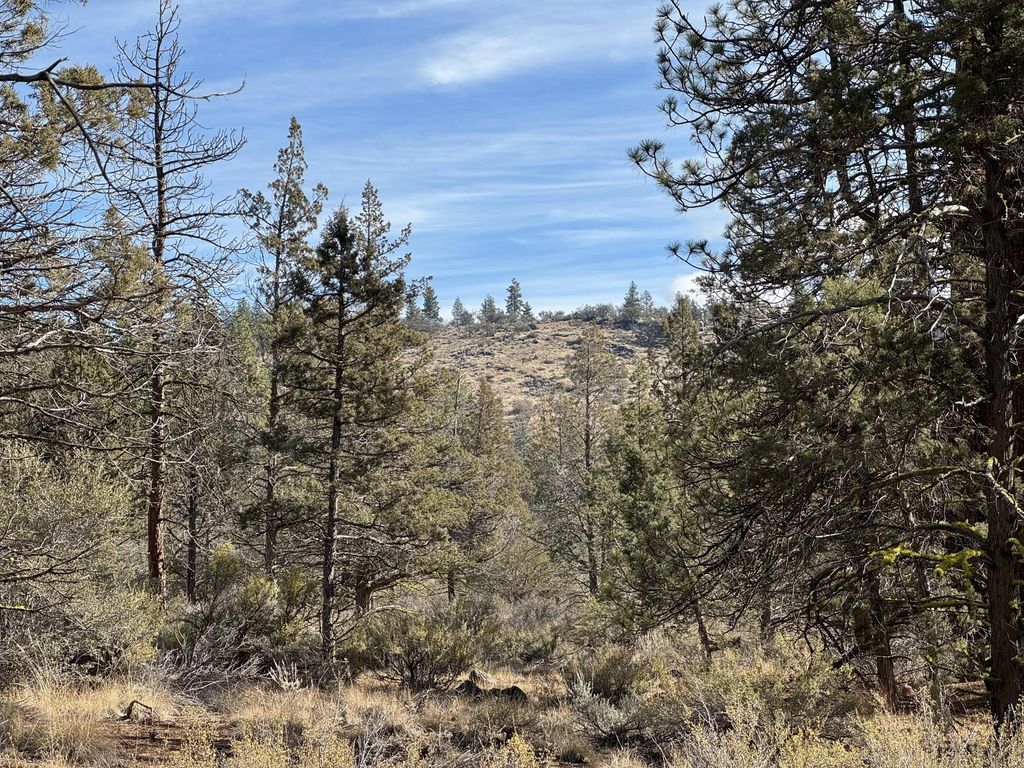 0 Golden Eagle Drive 23 & 24, Bonanza