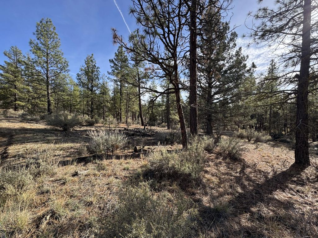 0 Pheasant Lane 9, Chiloquin