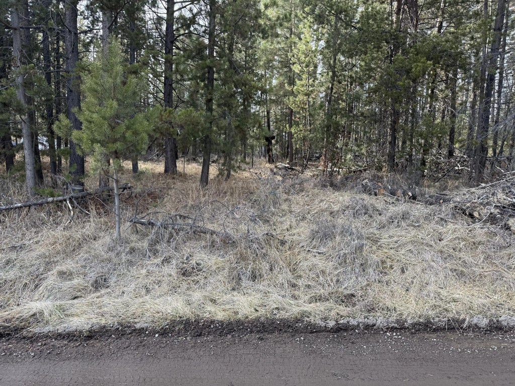 Willow Street, La Pine