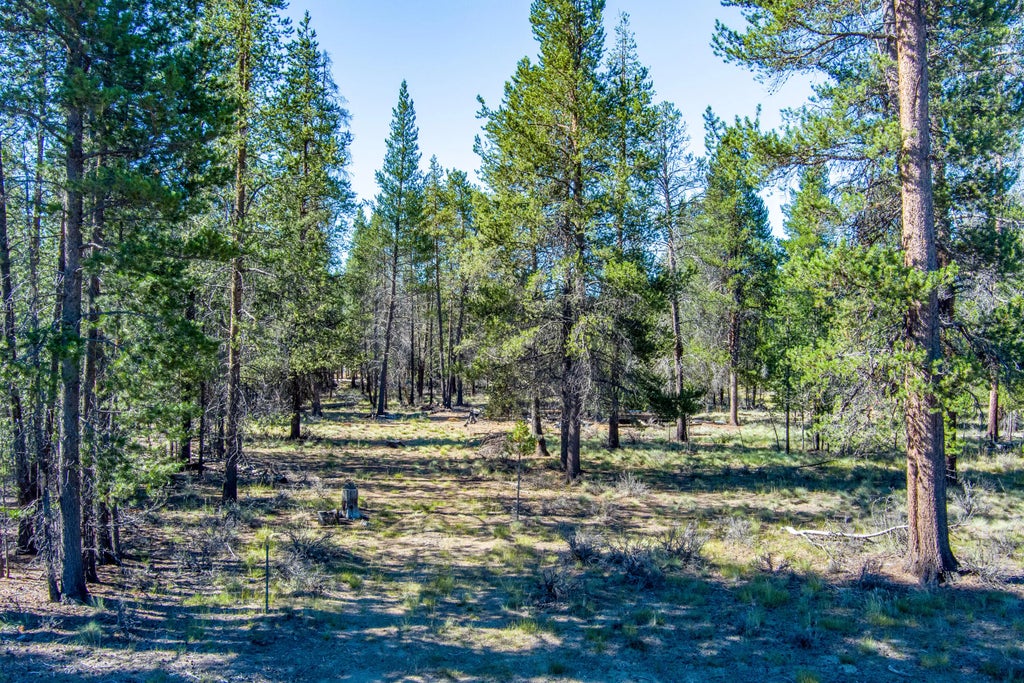Alderwood Drive Tl8700, La Pine