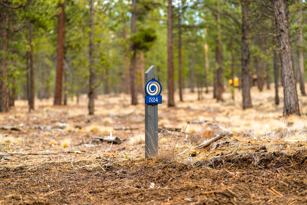 Elk Run Drive 524, Bend