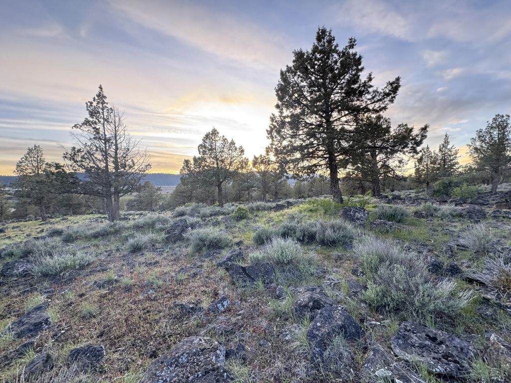 0 Fox Sparrow Drive 1124, Klamath Falls