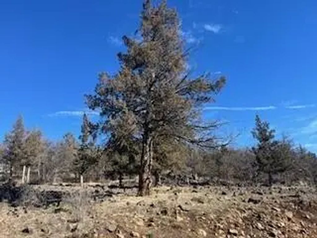 0 Kestrel Road Lot 721, Klamath Falls