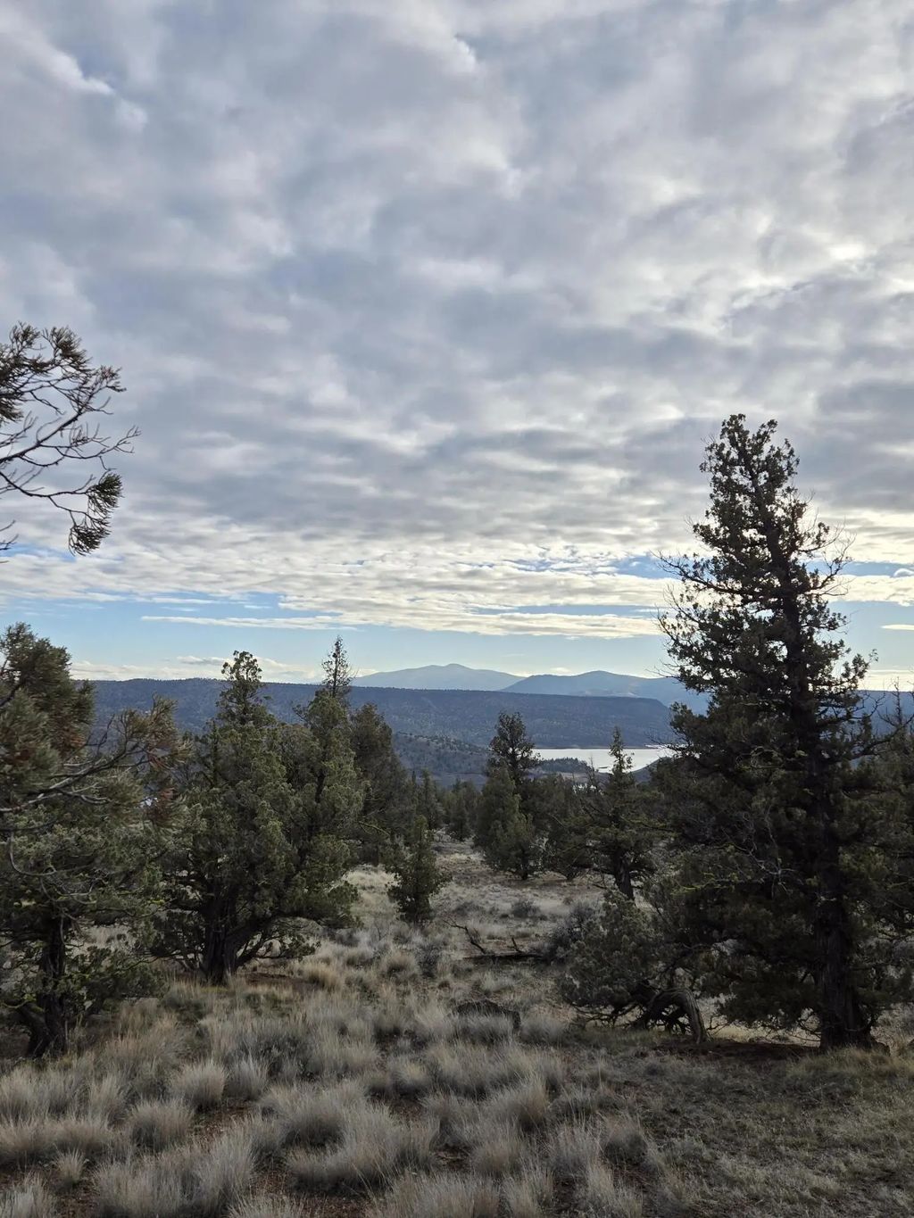 10098 Se Pavati Drive Lot 36, Prineville