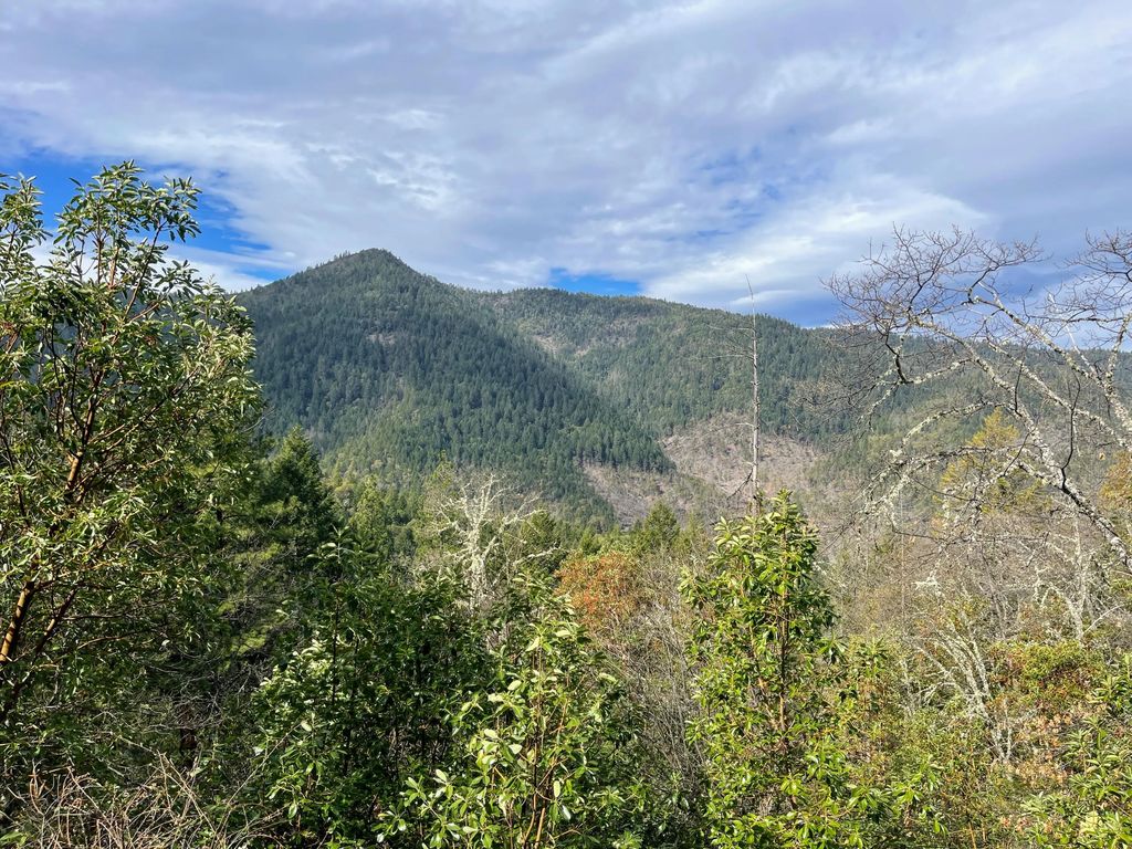 0 Savage Creek Rd Tl2502, Rogue River