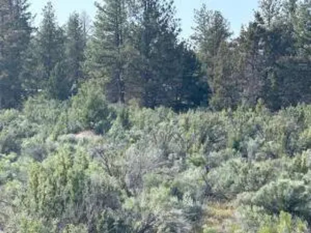 0 Council Butte Lot 8, Beatty
