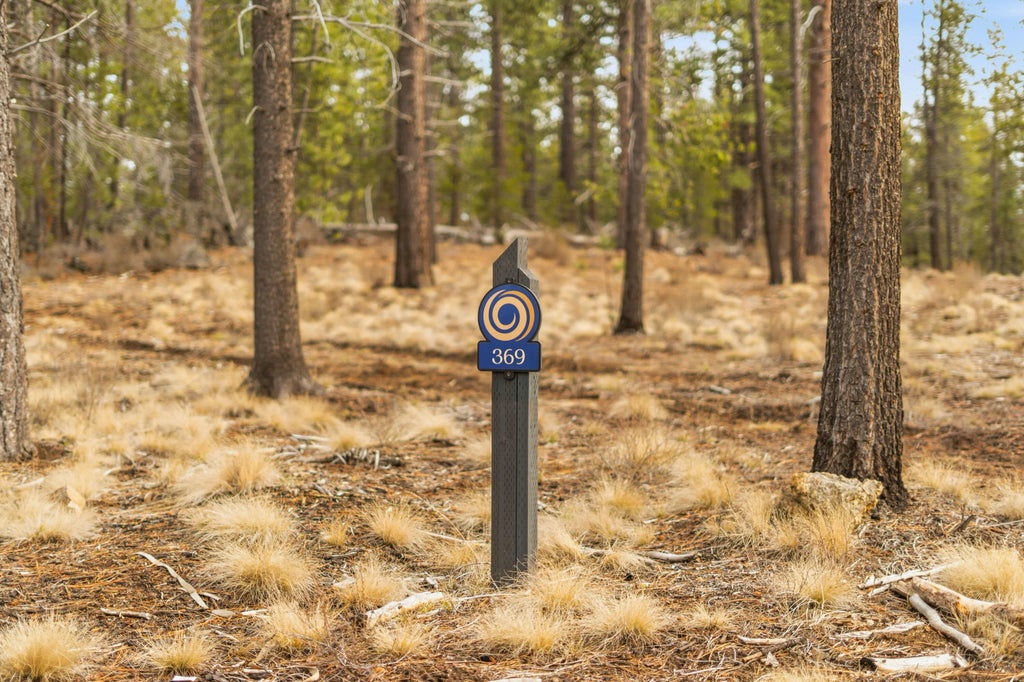 56239 Mirror Rock Loop 369, Bend