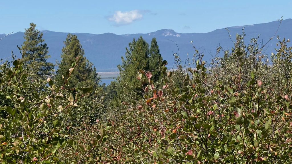 David St Lot 3, Klamath Falls