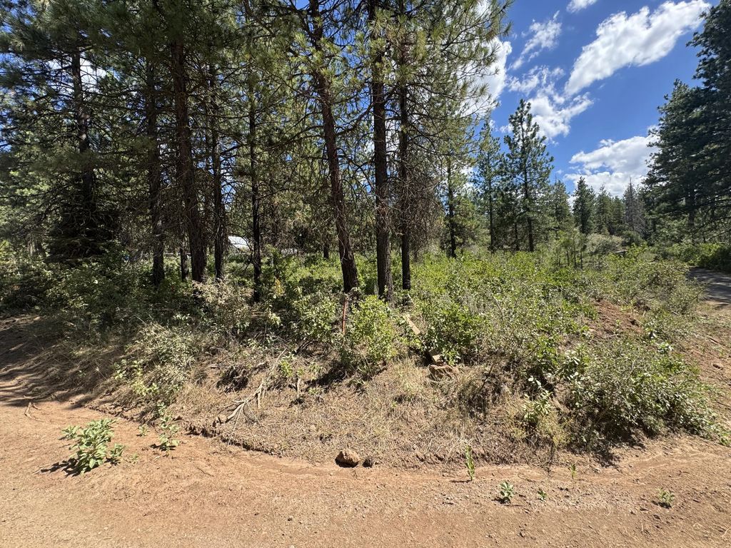 0 Grizzly Lane 9, Bonanza