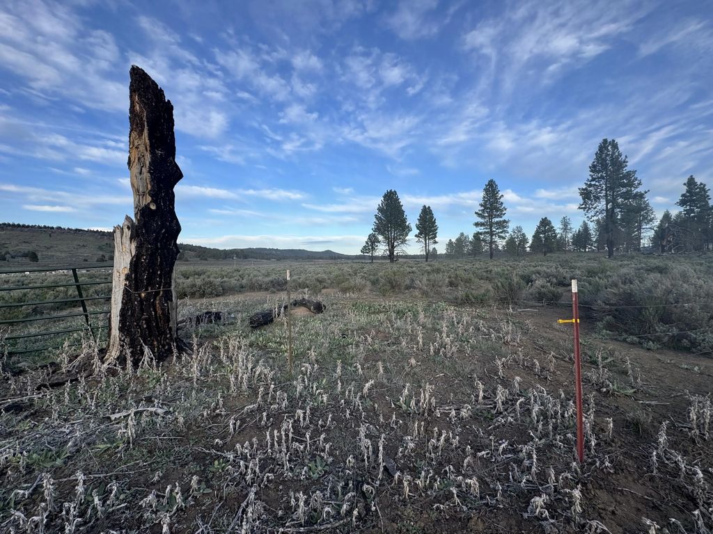 0 Mule Deer Drive 1, Sprague River