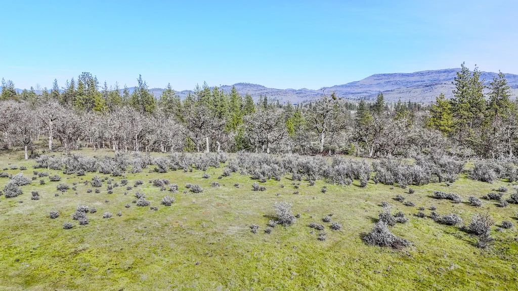 506 Greenleaf Drive, Eagle Point