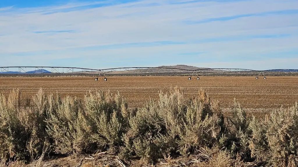 Off Fossil Lake Road Tl 1200, Christmas Valley