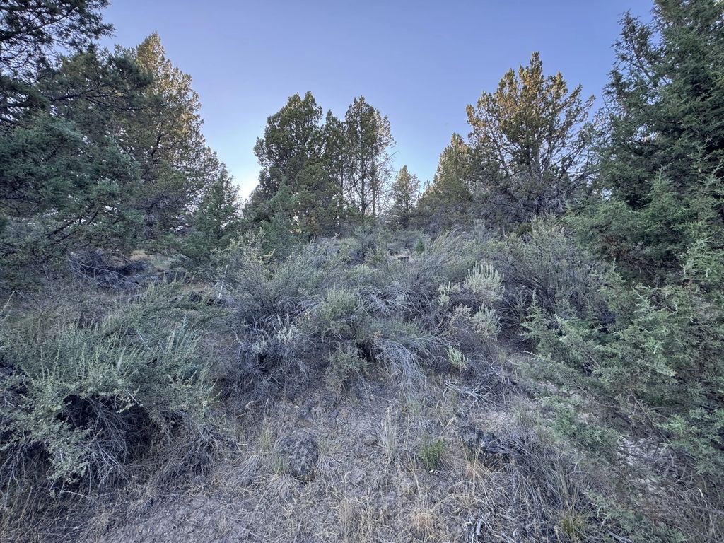 0 Wasco Street 100, Sprague River