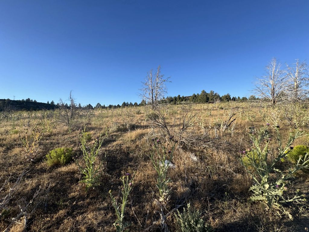 0 Curry Street 112, Sprague River