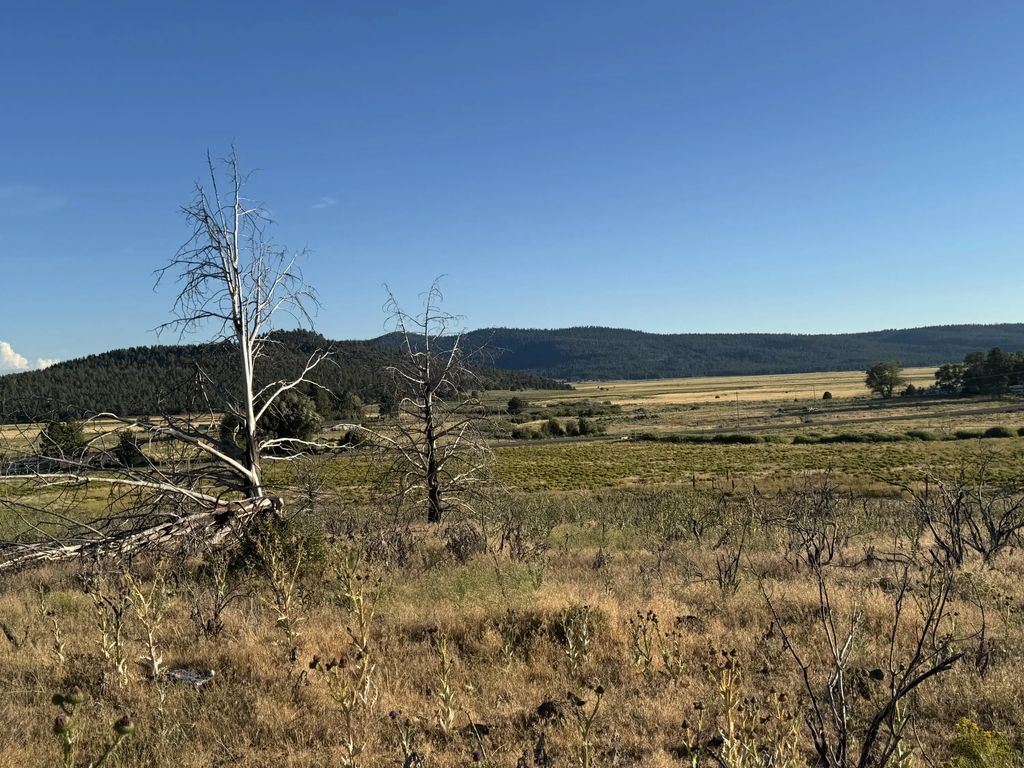 0 Curry Street 129, Sprague River