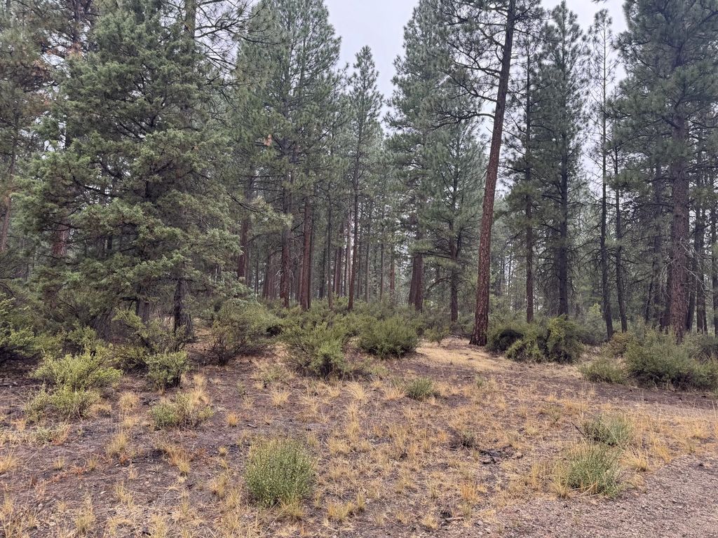0 Stillwater Way Lot 16, Chiloquin