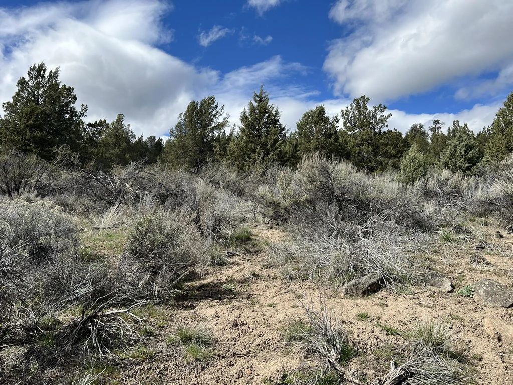 0 Shasta Street, Sprague River