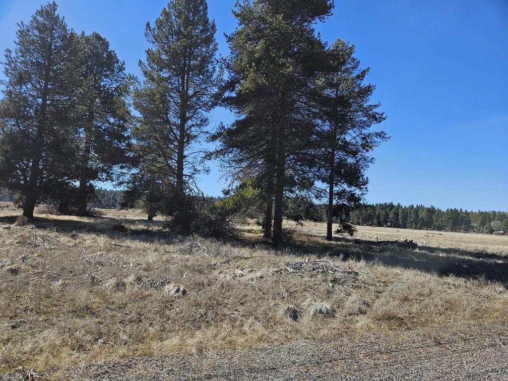 0 Longhorn Loop 25, Chiloquin