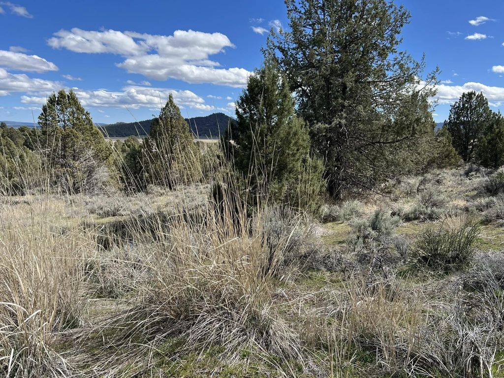 0 Shasta Street, Sprague River