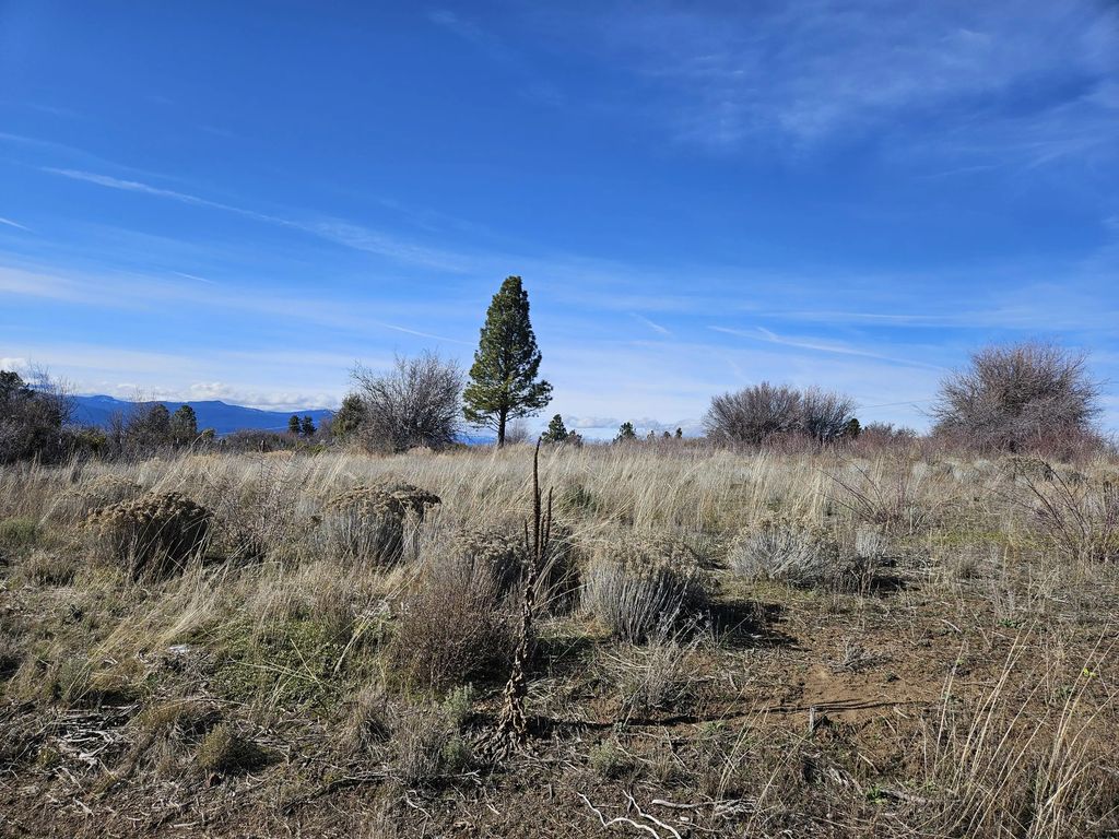 0 Lakeland Road 27, Chiloquin