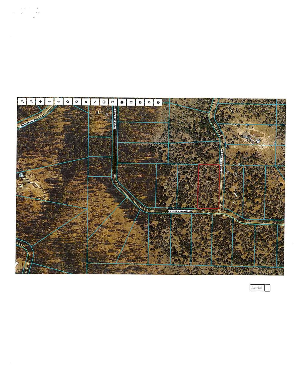 0 Chicken Hawk 18, Bonanza