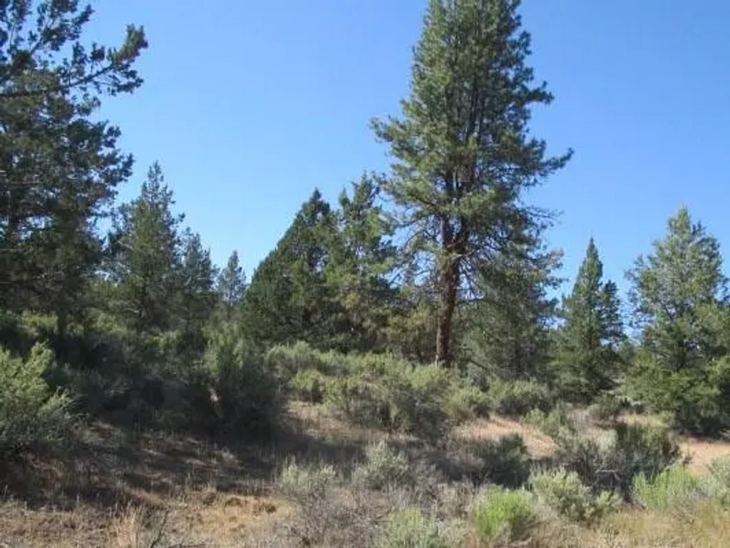 0 Little Fawn Drive 10, Chiloquin