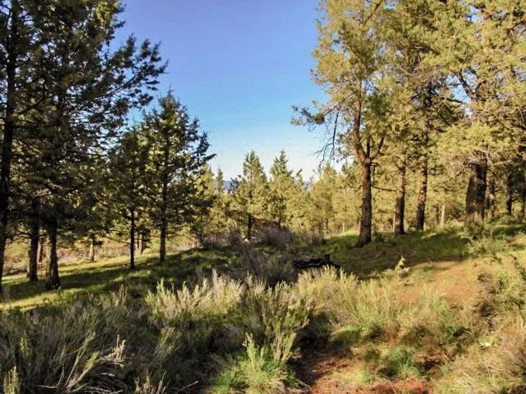 0 Pearson Butte Trail 16, Keno