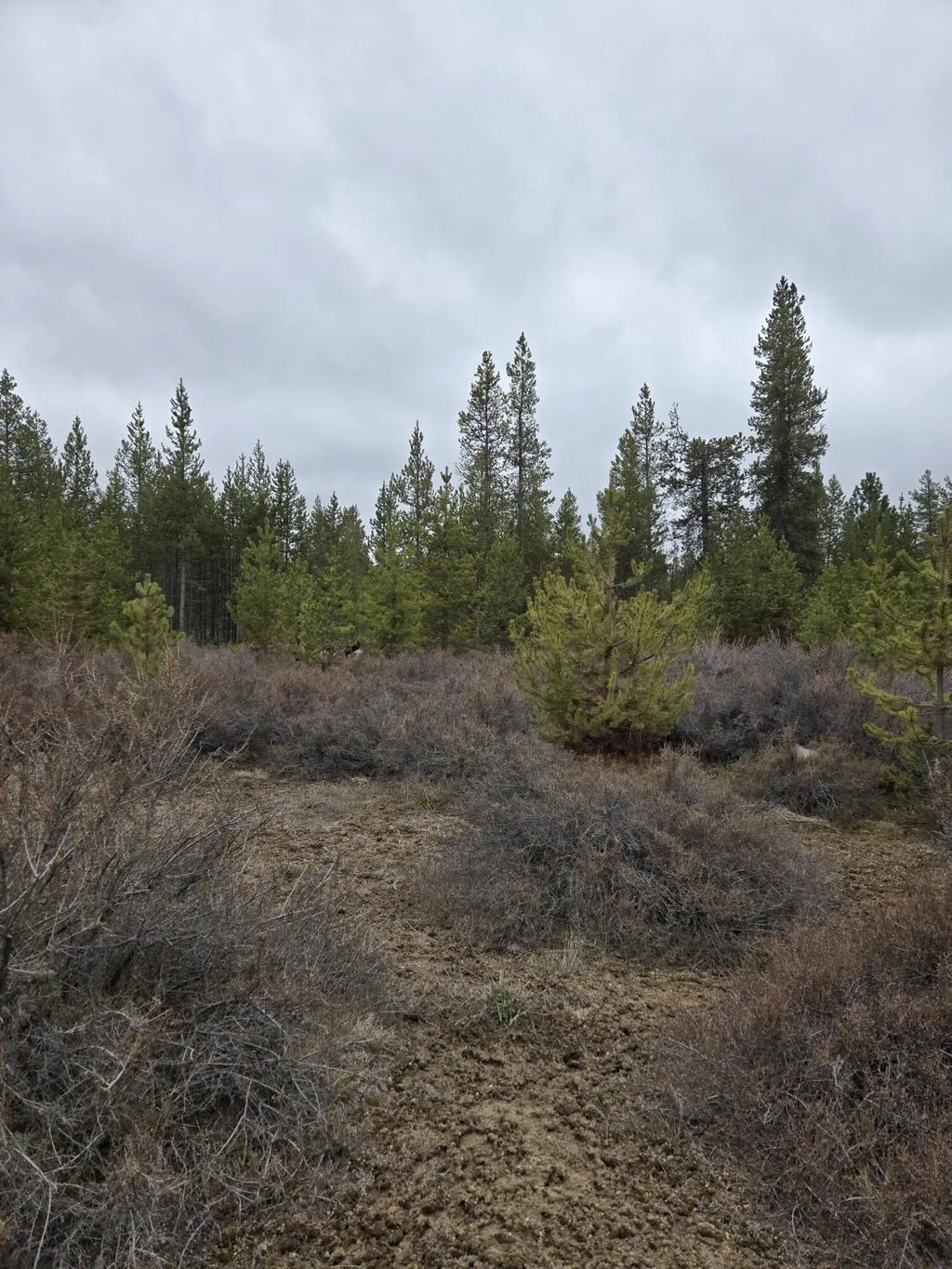 16349 Sparks Drive, La Pine