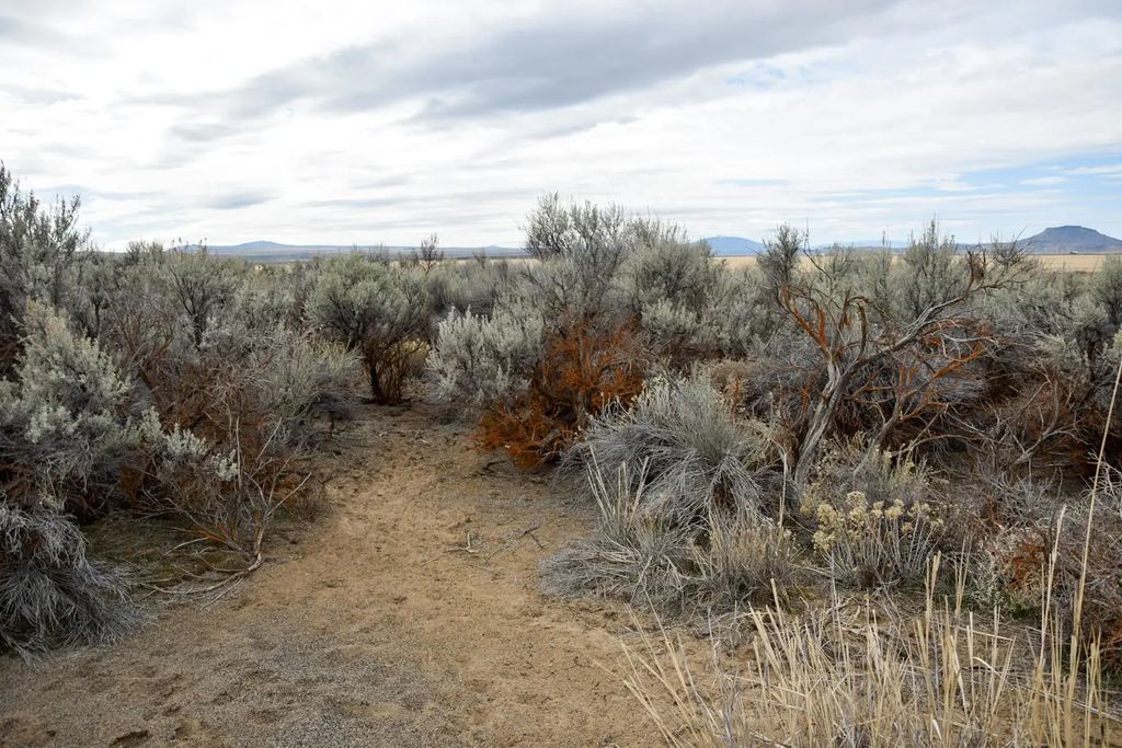 Willa Road 3, Christmas Valley