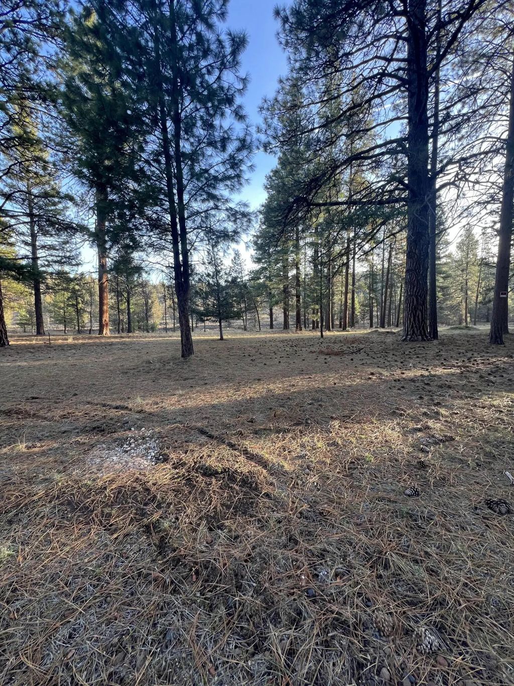 Overland Drive 4 & 5, Klamath Falls