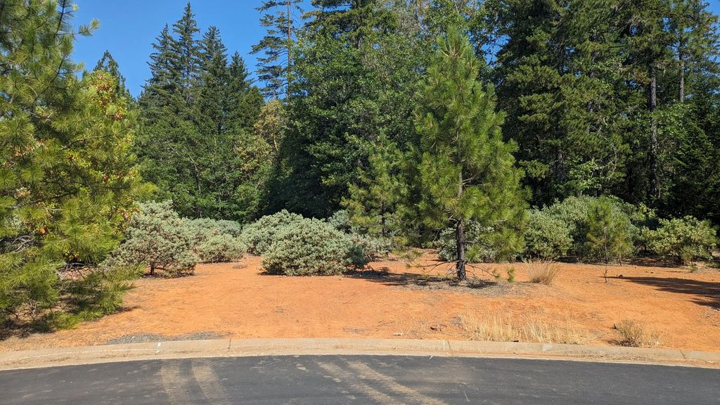 368 Cedar Ridge Drive, Cave Junction