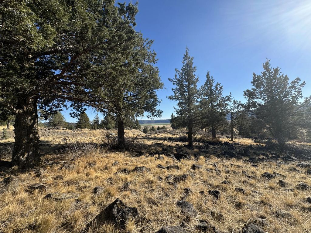 0 Fox Sparrow Drive 1127, Klamath Falls