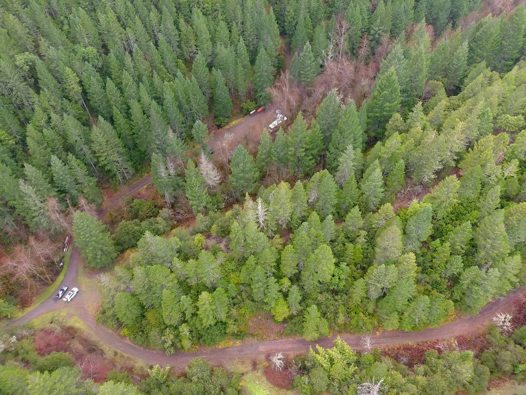 1802 Waters Creek Road, Wilderville