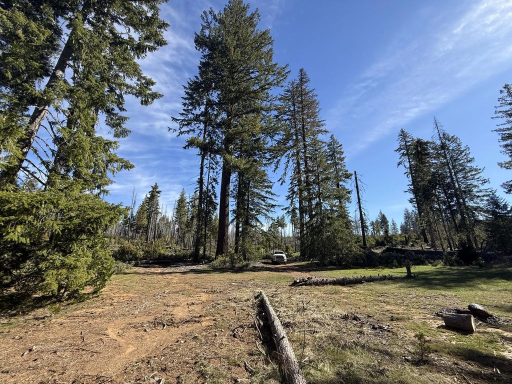 0 Swede Basin Road R325987, Selma