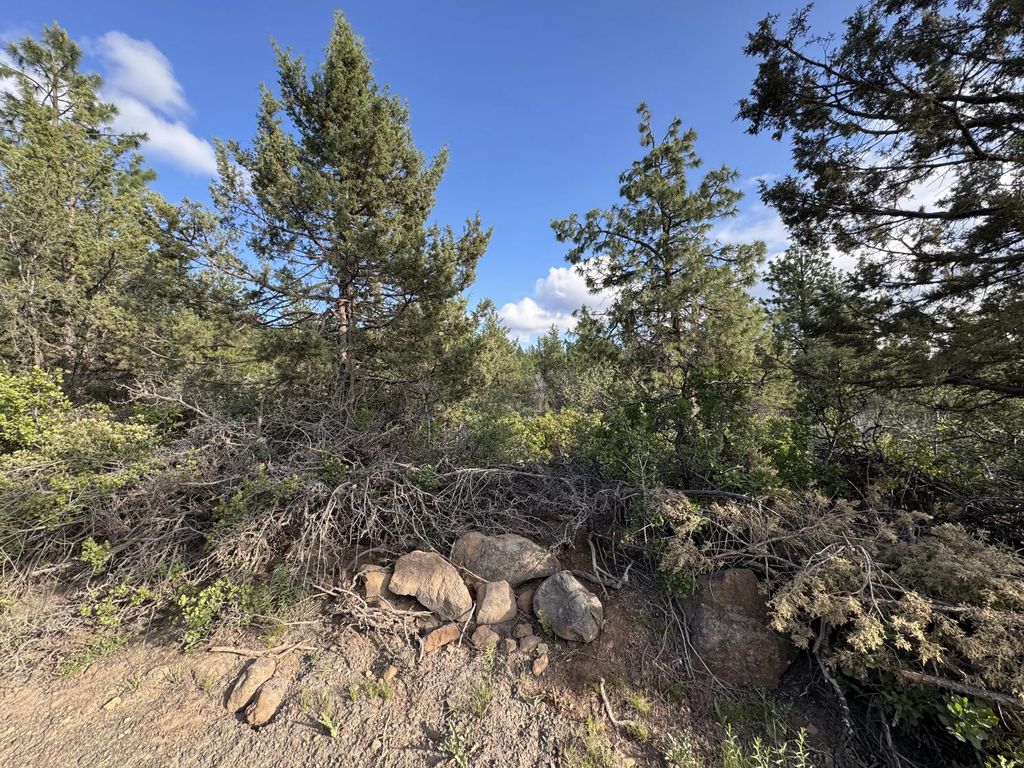 0 Grizzly Lane 14, Bonanza