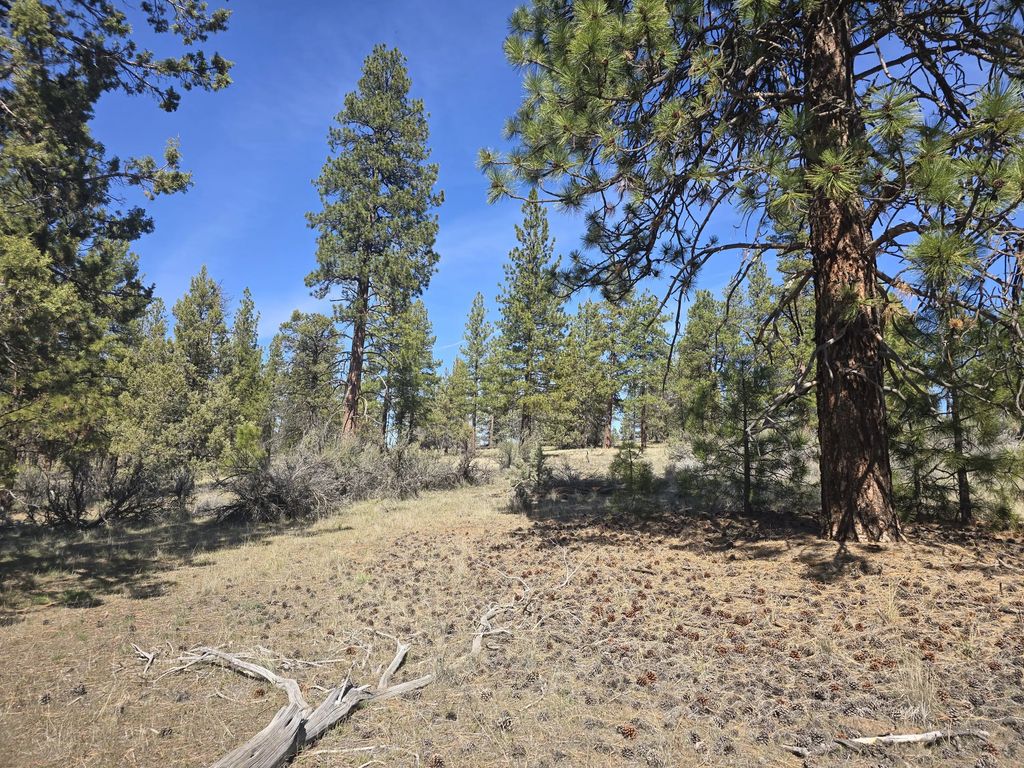 Widgeon Drive 39, Bonanza