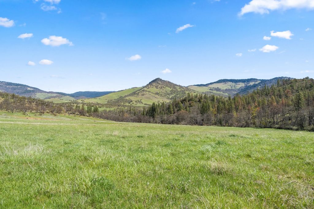 Buckhorn Road 1000, Ashland