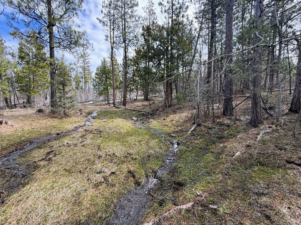 0 Yellowjacket Springs Rd, Beatty