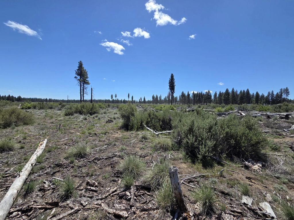 0 Mountain Quail Lane Lot 9, Chiloquin