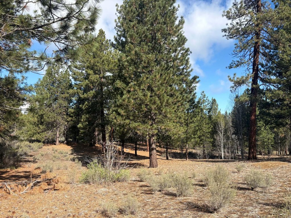 0 Pine Ridge Loop Lot 5, Chiloquin