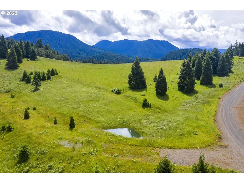 Bugle Loop Tl 1304, Oakridge