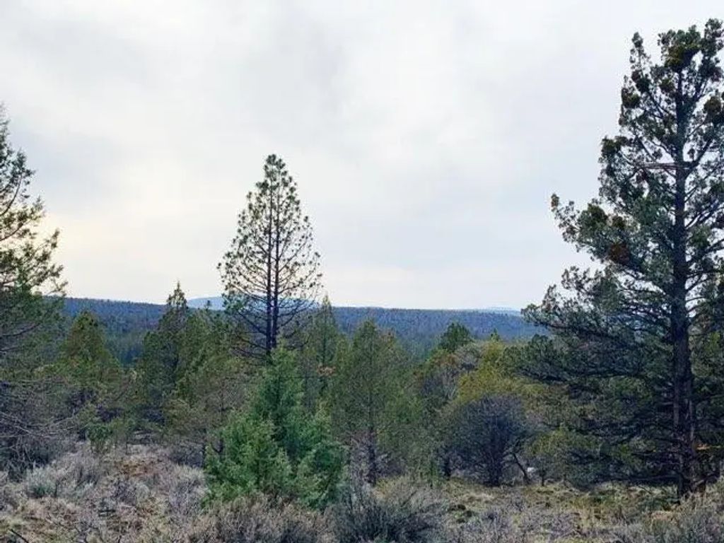 0 Widgeon Drive Lots 1, 2 & 3, Bonanza