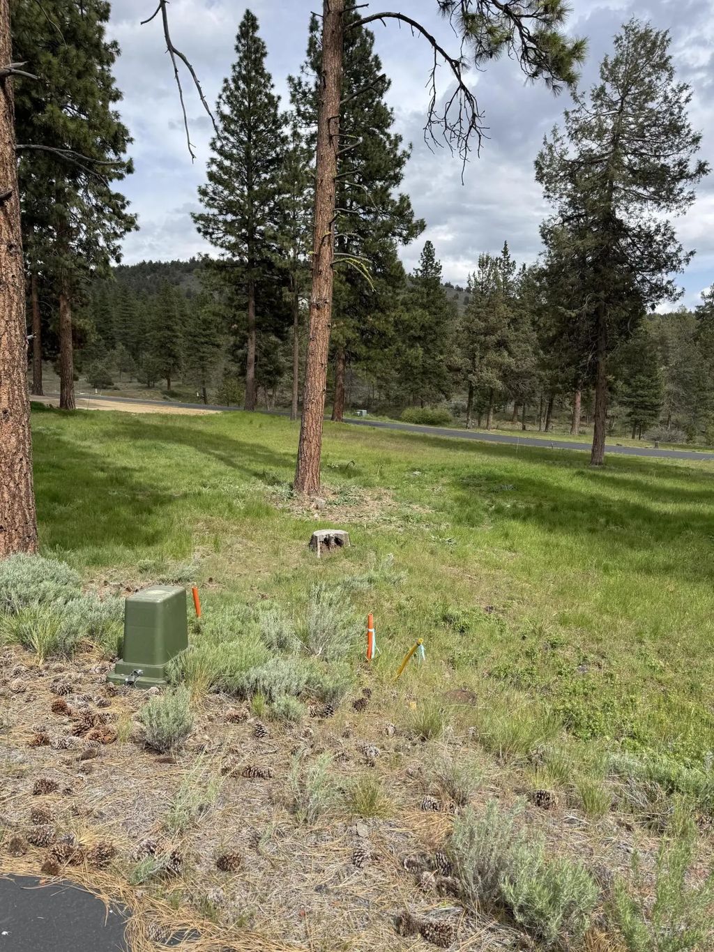1075 Timber Ridge Loop, Klamath Falls