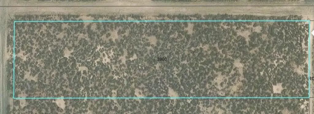 Tinsel Rd 6479, Christmas Valley