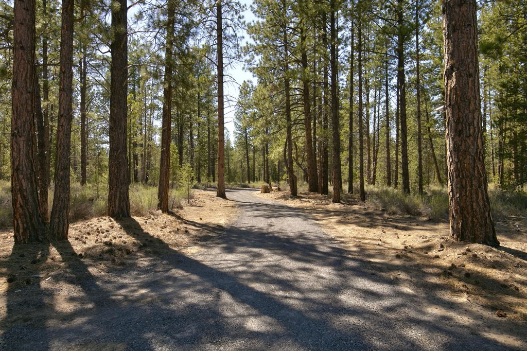 50750 Deer Forest Drive, La Pine
