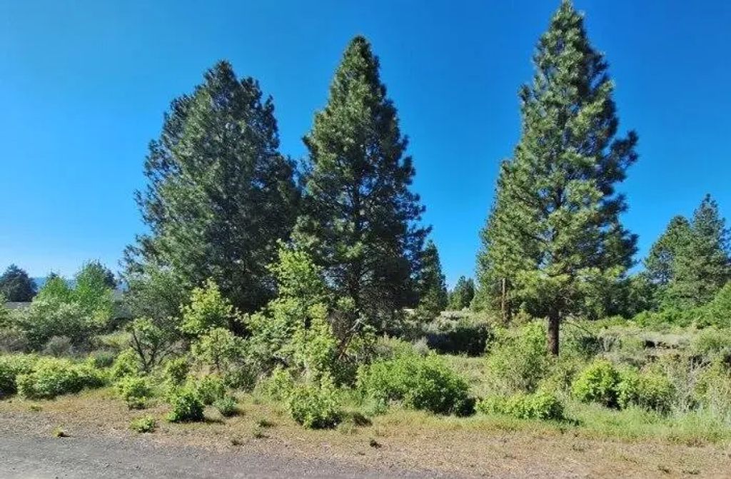 Shoreview Drive Block 9 Lot 18, Chiloquin