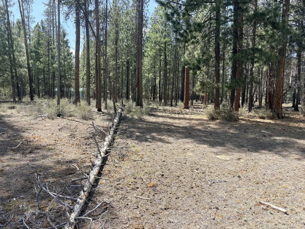 1548 Cheryl Drive, La Pine
