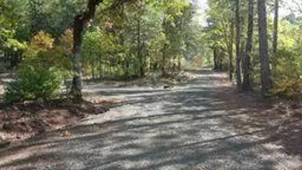 3860 Highway 227, Trail