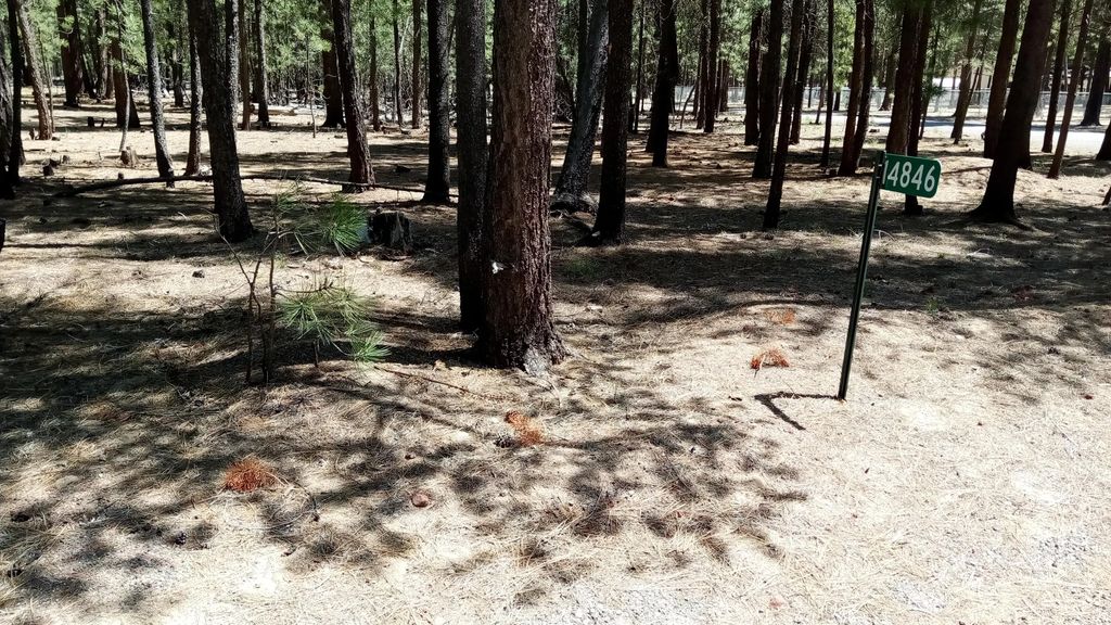 14846 Curlleaf, La Pine